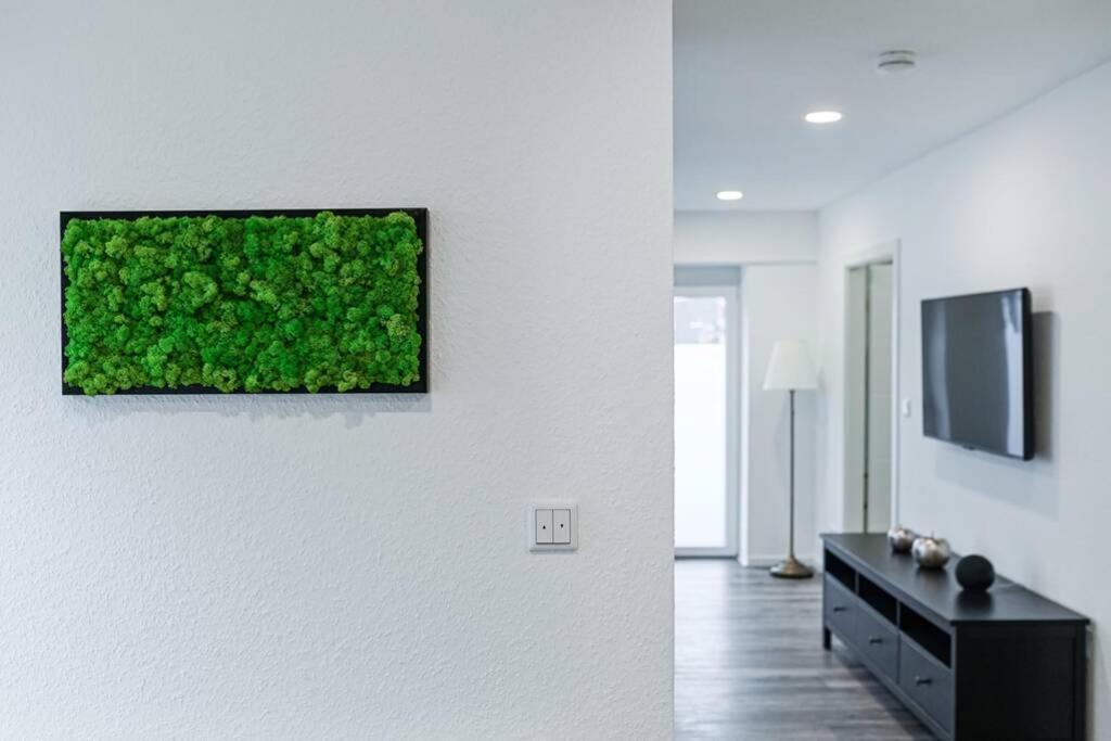 Ferienhaus Kopf In Bad Buchau Kültér fotó